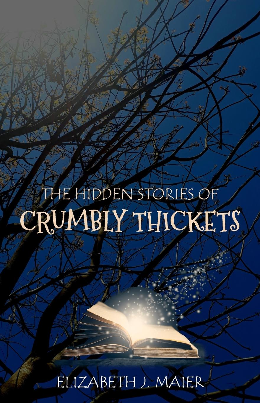 Knjiga The Hidden Stories of Crumbly Thickets Elizabeth J. Maier