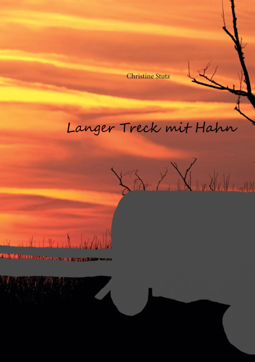 Kniha Langer Treck mit Hahn Christine Stutz