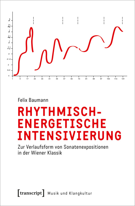 Kniha Rhythmisch-energetische Intensivierung Felix Baumann