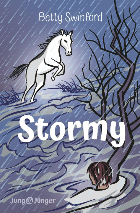 Knjiga Stormy Wolfgang Steinseifer