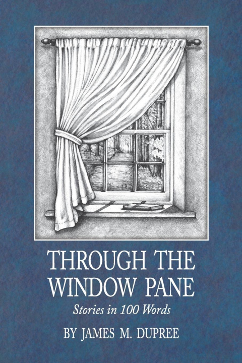 Buch Through the Window Pane James Dupree