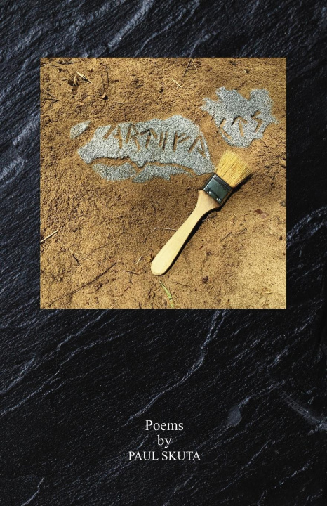 Knjiga Artifacts Paul Skuta