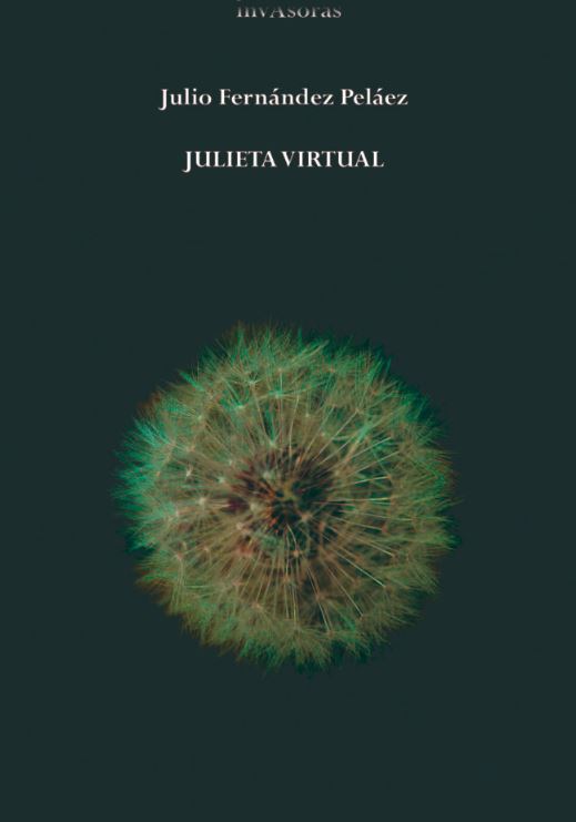 Knjiga Julieta virtual JULIO FERNANDEZ PELAEZ