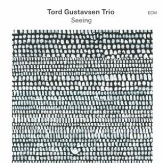 Zvok Seeing Tord Gustavsen Trio