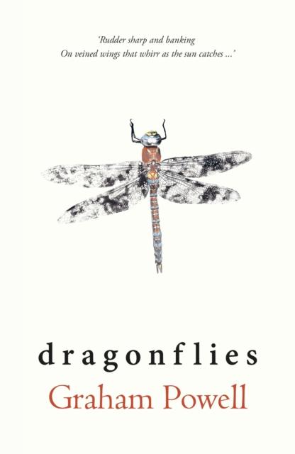 Βιβλίο Dragonflies Graham Powell