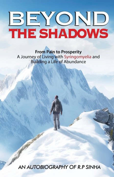 Книга BEYOND THE SHADOWS Rabindra Prasad Sinha