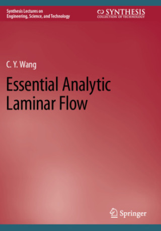 Knjiga Essential Analytic Laminar Flow C.Y. Wang