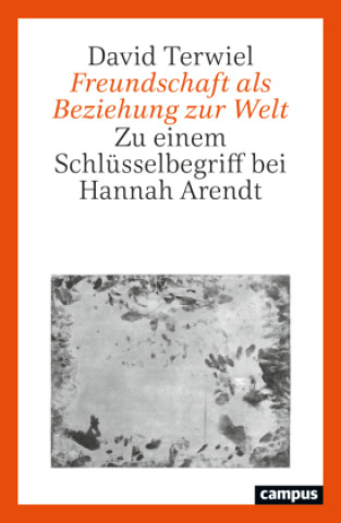 Βιβλίο Freundschaft als Beziehung zur Welt David Terwiel
