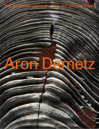 Boek Aron Demetz Rupert König