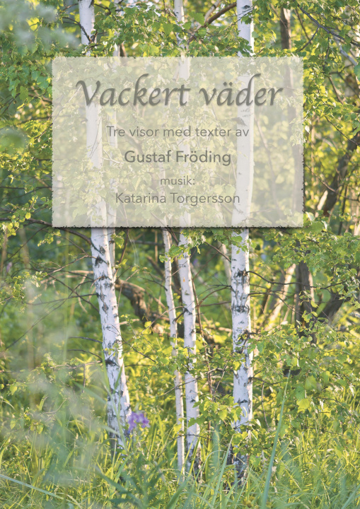 Knjiga Vackert väder Katarina Torgersson