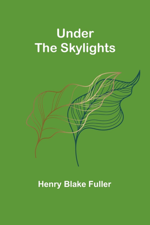 Knjiga Under the Skylights Henry Blake Fuller