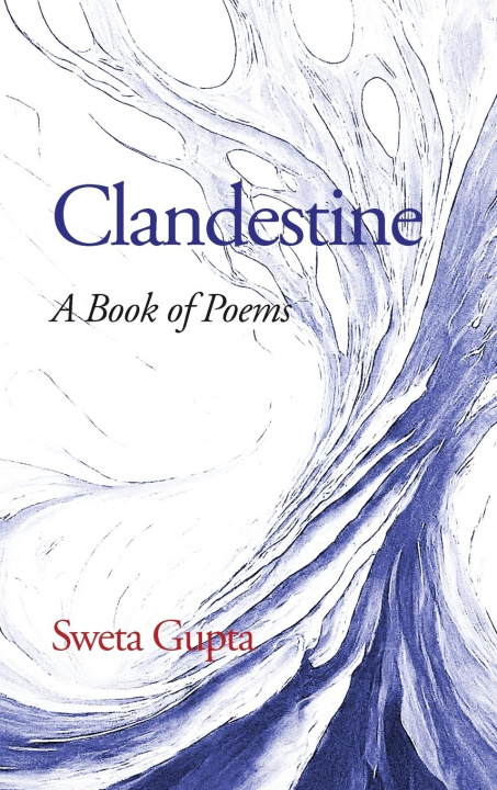 Knjiga Clandestine S Gupta