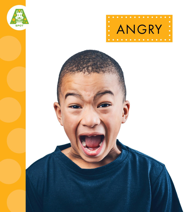 Knjiga Angry Thielges