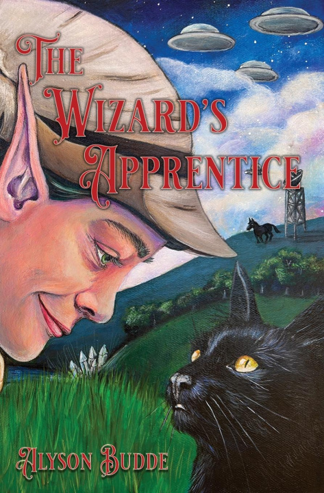 Knjiga The Wizard's Apprentice Alyson Budde