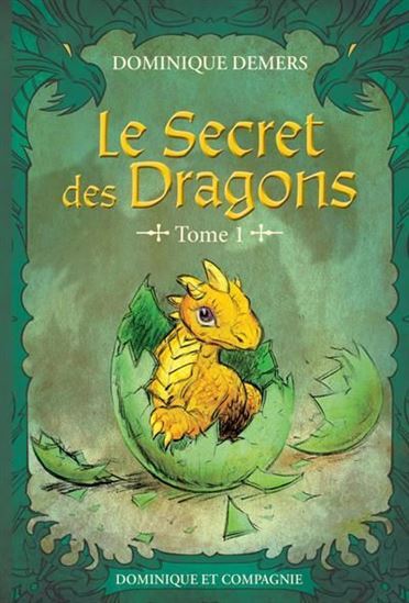 Buch LE SECRET DES DRAGONS V 01 DEMERS DOMINIQUE