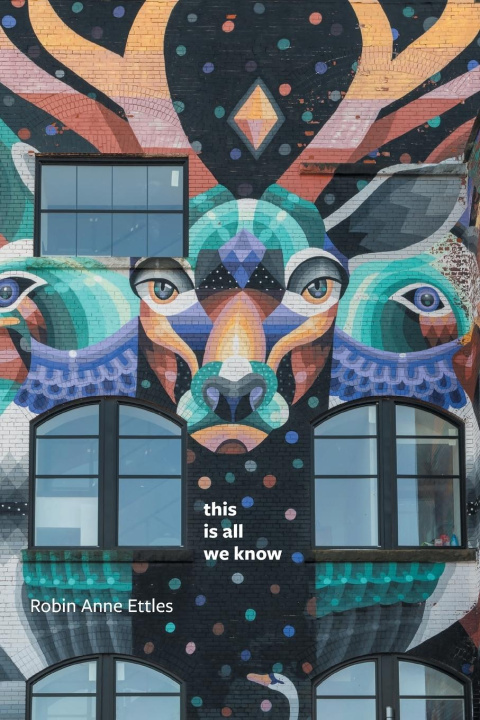 Buch this is all we know Robin Anne Ettles