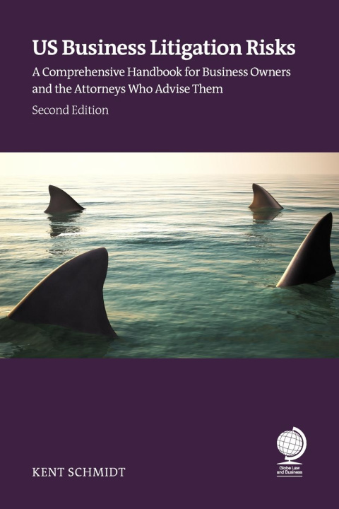 Knjiga US Business Litigation Risks Kent Schmidt