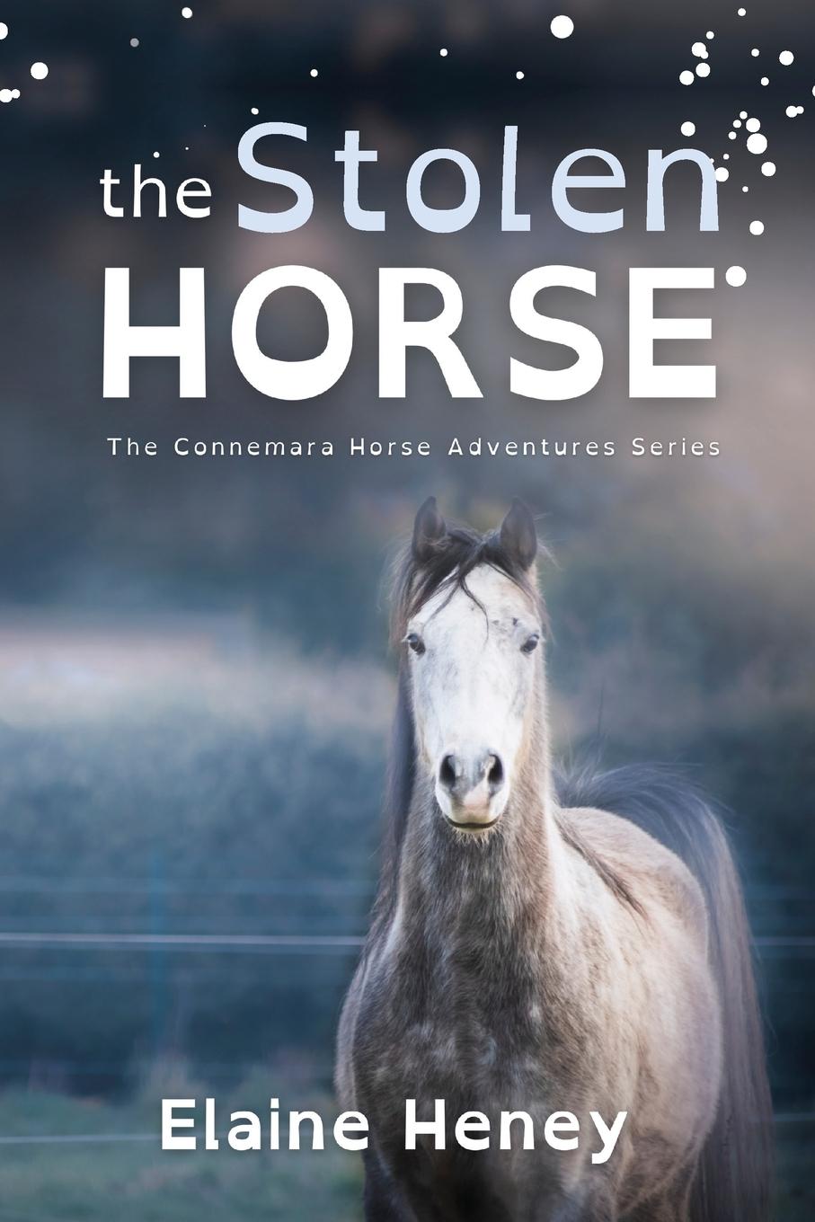 Knjiga The Stolen Horse - Dyslexia Friendly Elaine Heney