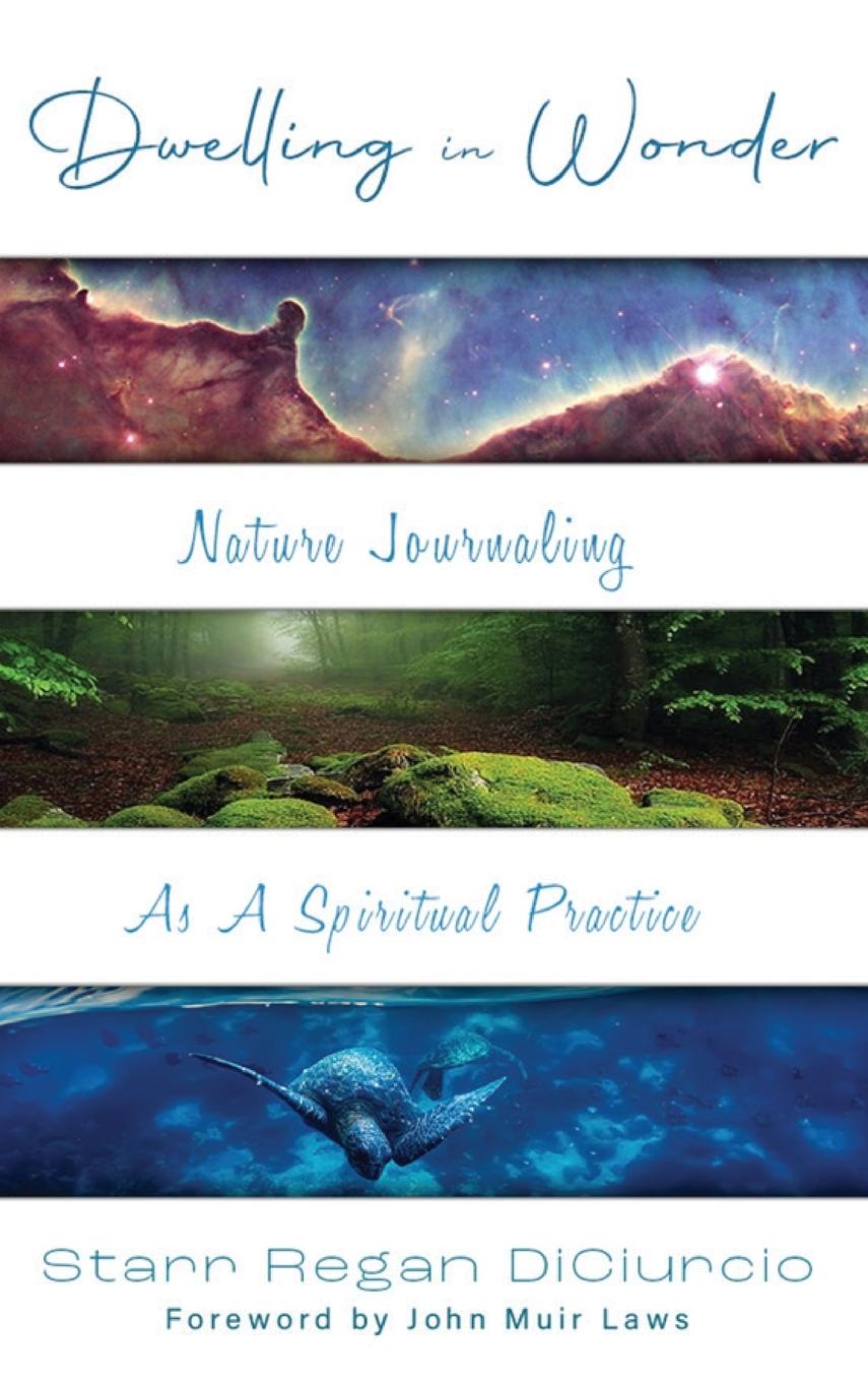 Βιβλίο Dwelling in Wonder Starr Regan DiCiurcio