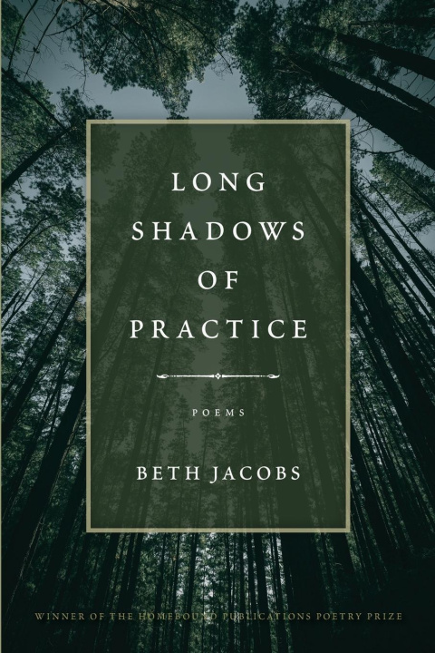 Buch Long Shadow of Practice Beth Jacobs