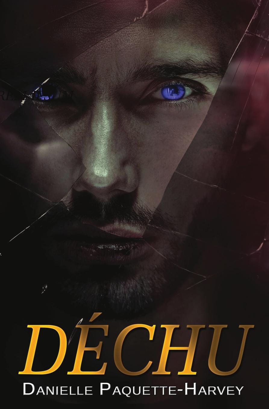 Knjiga Déchu Danielle Paquette-Harvey