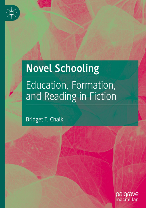 Knjiga Novel Schooling Bridget T. Chalk