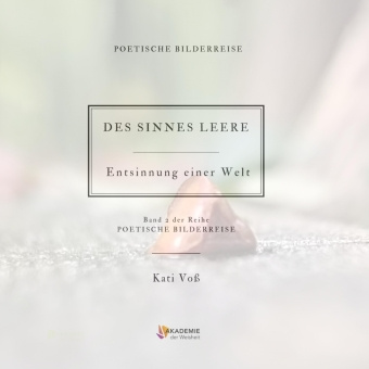 Buch DES SINNES LEERE Kati Voss