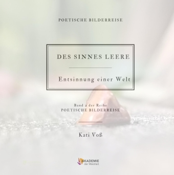 Buch DES SINNES LEERE Kati Voss