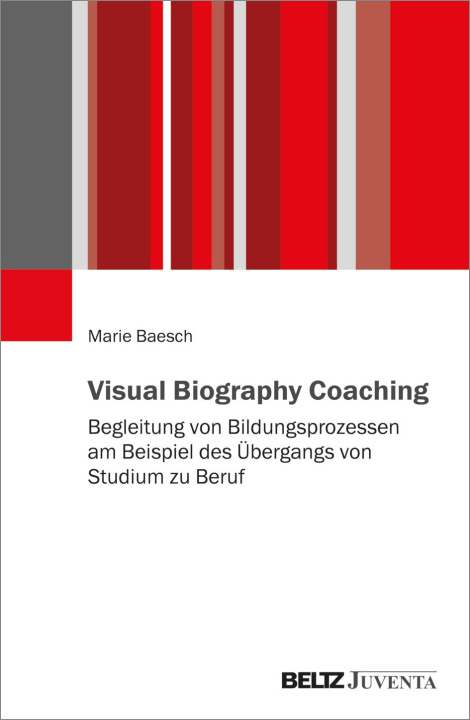 Boek Übergang von Studium zu Beruf Marie Baesch