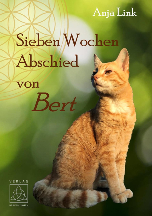 Buch Sieben Wochen Abschied von Bert Anja Link