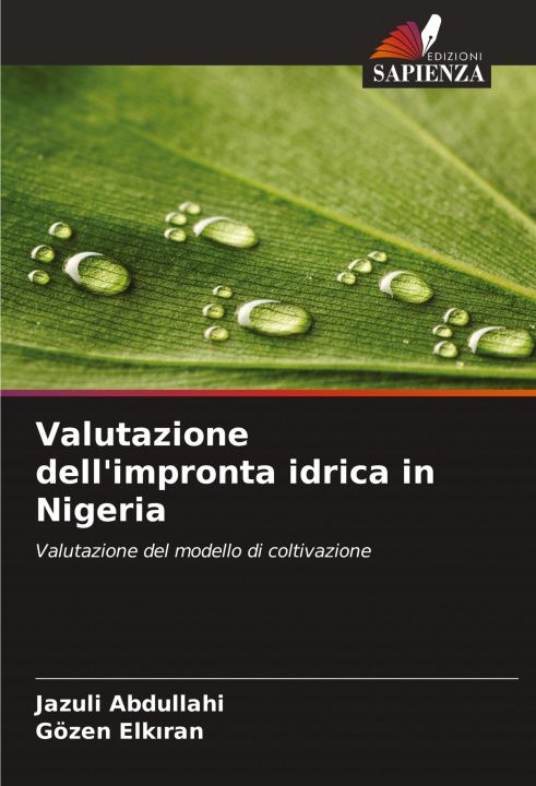 Boek Valutazione dell'impronta idrica in Nigeria Gözen Elk?ran