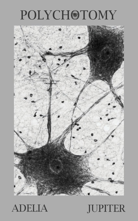 Knjiga Polychotomy Adelia Jupiter