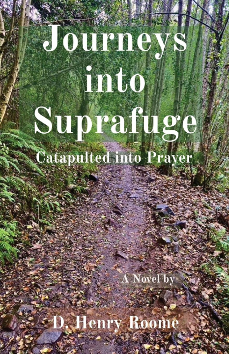 Buch Journeys into Suprafuge Donald H Roome
