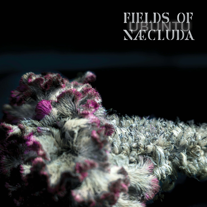Audio UBUNTU OF NÆCLUDA