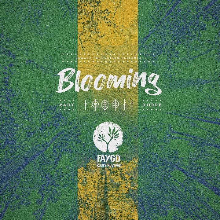 Audio BLOOMING 3 FAYGO