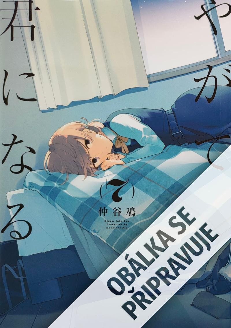 Buch Jednou rozkvetu i já 7 Nio Nakatani