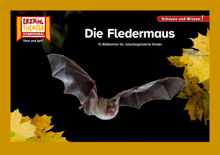 Buch Die Fledermaus / Kamishibai Bildkarten 