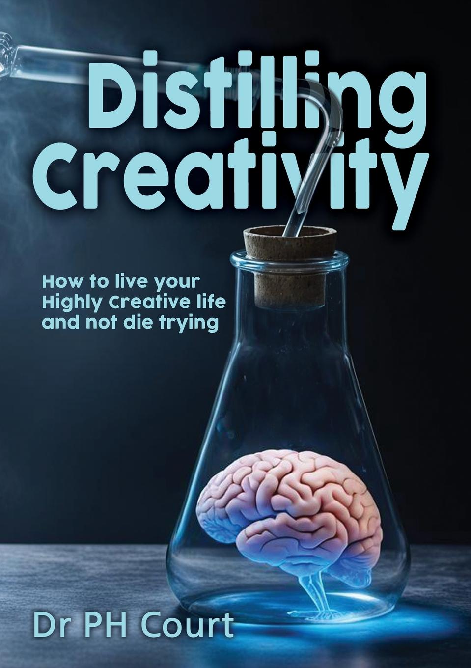 Knjiga Distilling Creativity P H Court