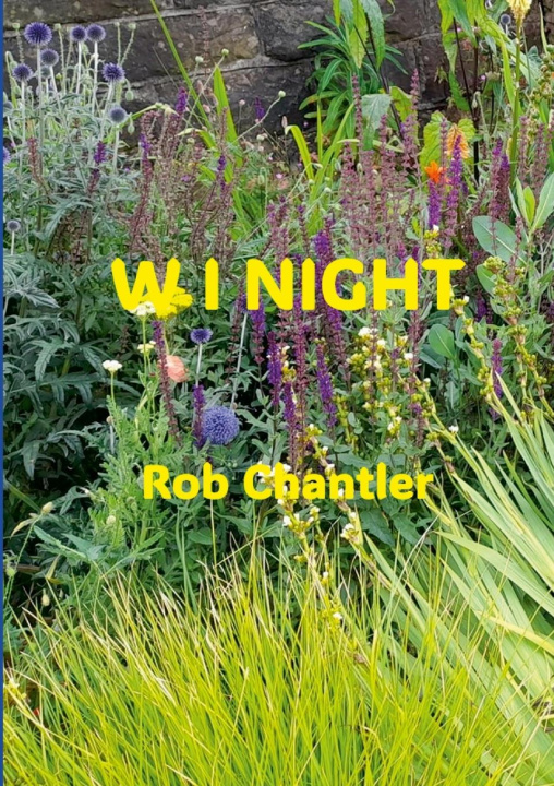Knjiga W I NIGHT Rob Chantler