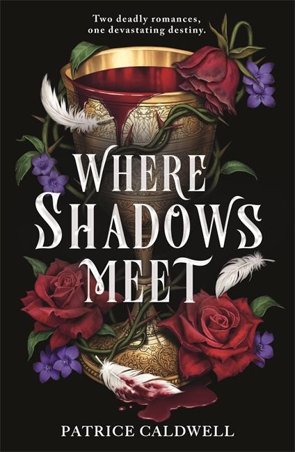 Βιβλίο Where Shadows Meet Patrice Caldwell