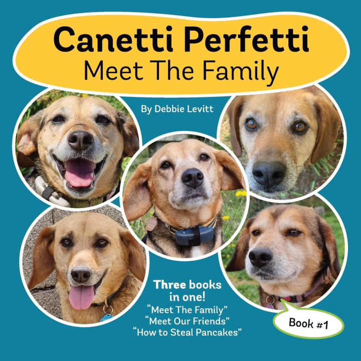 Buch Canetti Perfetti Debbie Levitt