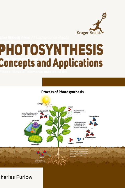 Knjiga Photosynthesis Charles Furlow