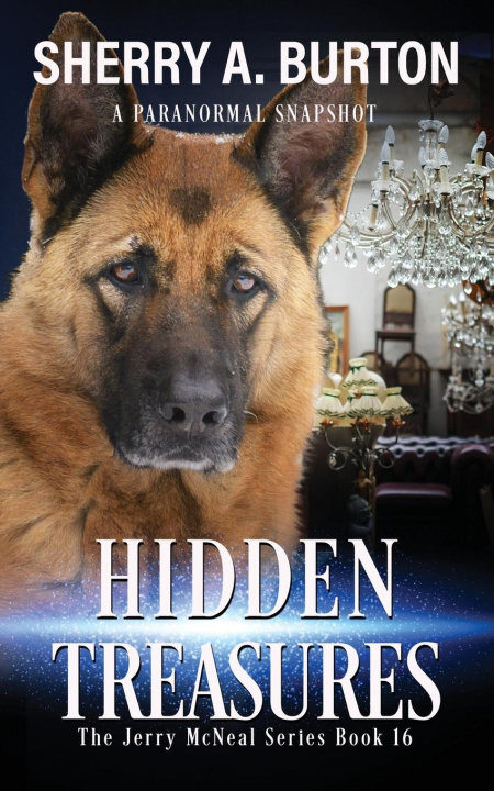 Buch Hidden Treasures Sherry A. Burton