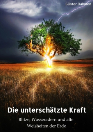 Buch Die unterschätzte Kraft Günter Dahmen