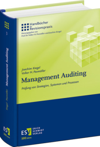 Knjiga Management Auditing Joachim Kregel