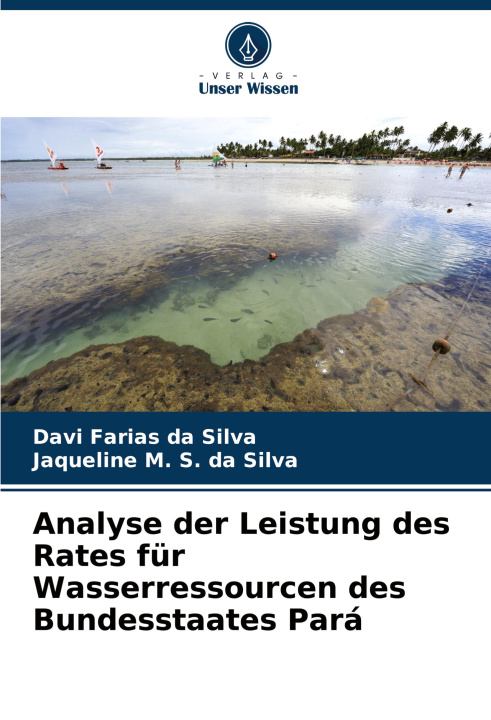 Boek Analyse der Leistung des Rates für Wasserressourcen des Bundesstaates Pará Jaqueline M. S. Da Silva