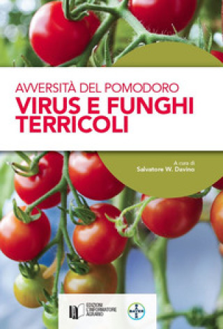 Libro Avversità del pomodoro. Virus e funghi terricoli 
