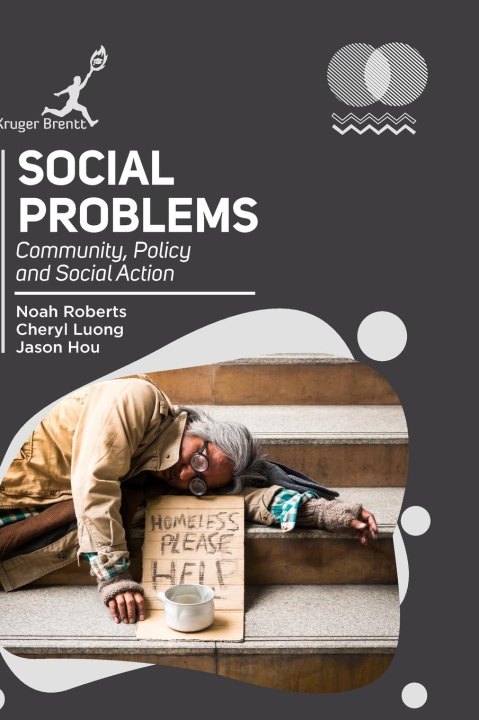 Knjiga Social Problems Cheryl Luong