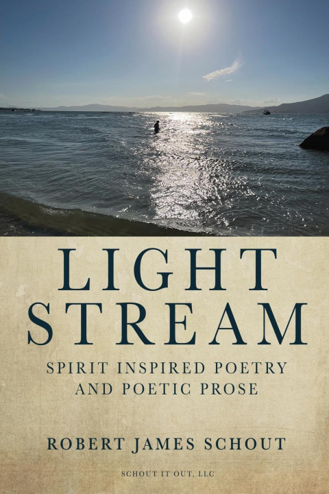Libro Light Stream Robert Schout