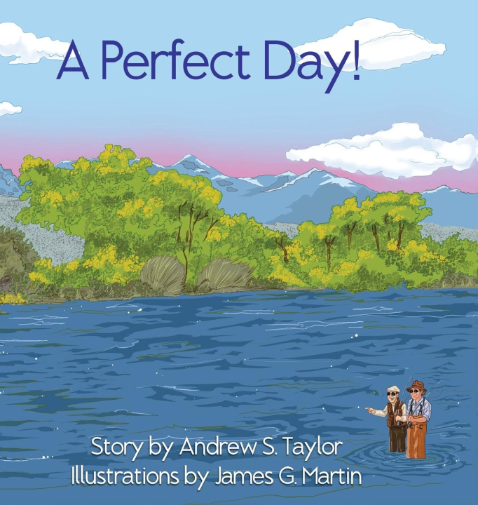 Buch A Perfect Day! Andrew S. Taylor